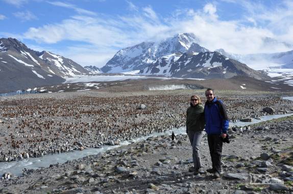 Visita a St Andrews Bay, na Geórgia do Sul, a maior colônia de pinguins rei do mundo, com quase 1 milhão de aves